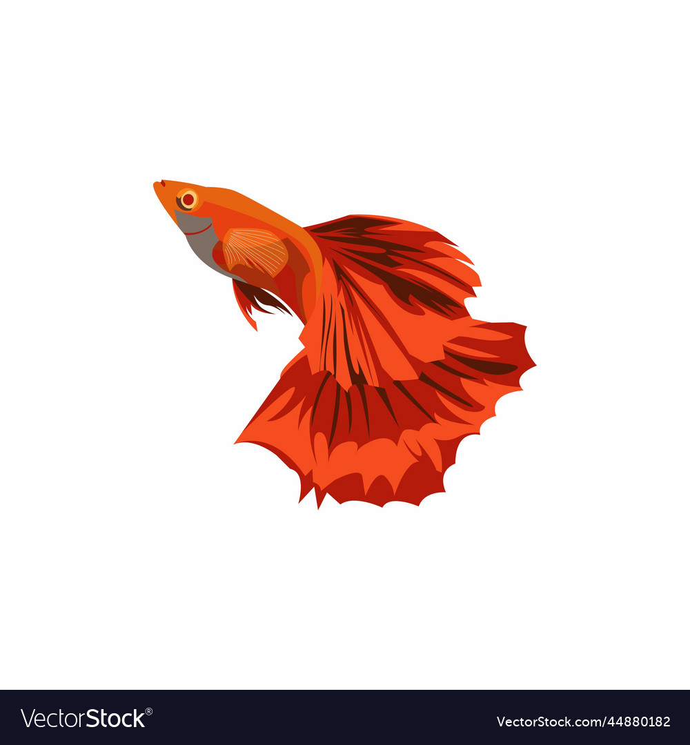 Guppy Fish Design Royalty Free Vector Image Vectorstock