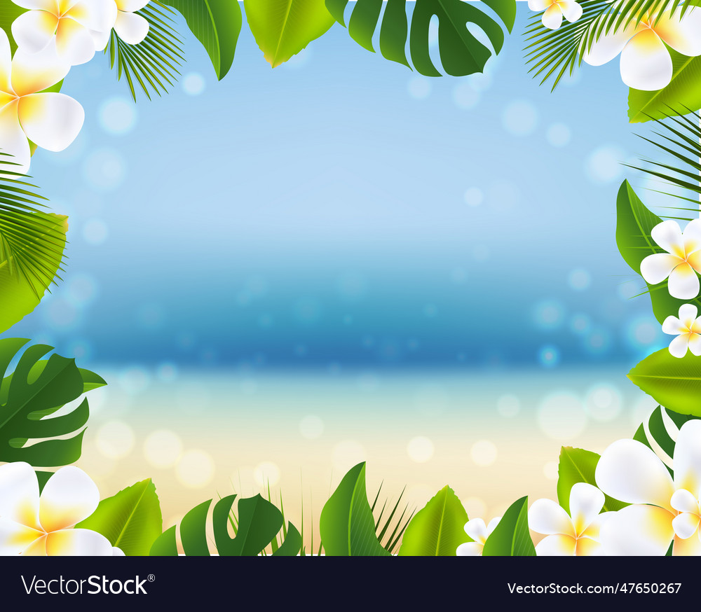 Summer Tropical Palm Leaves Frame And Frangipani Vector Image