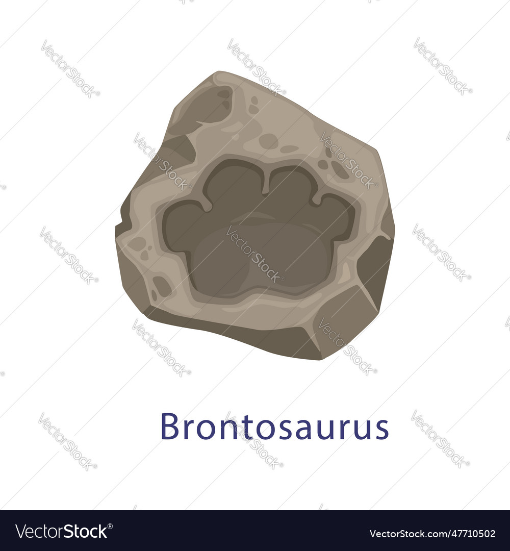 Ancient Dinosaur Footprint Brontosaurus Fossil Vector Image