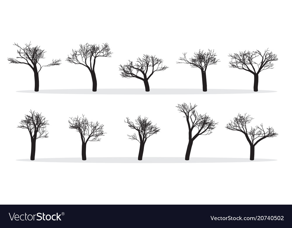 Naked Trees Silhouettes Set Hand Drawn Isolated Vector Image