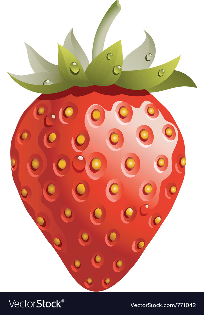 Strawberry Royalty Free Vector Image VectorStock