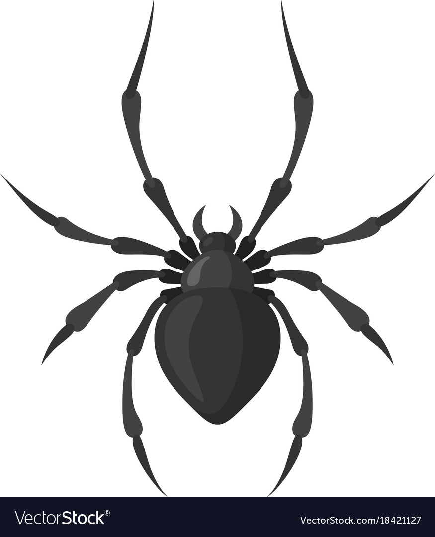 Spider In A Flat Style Royalty Free Vector Image