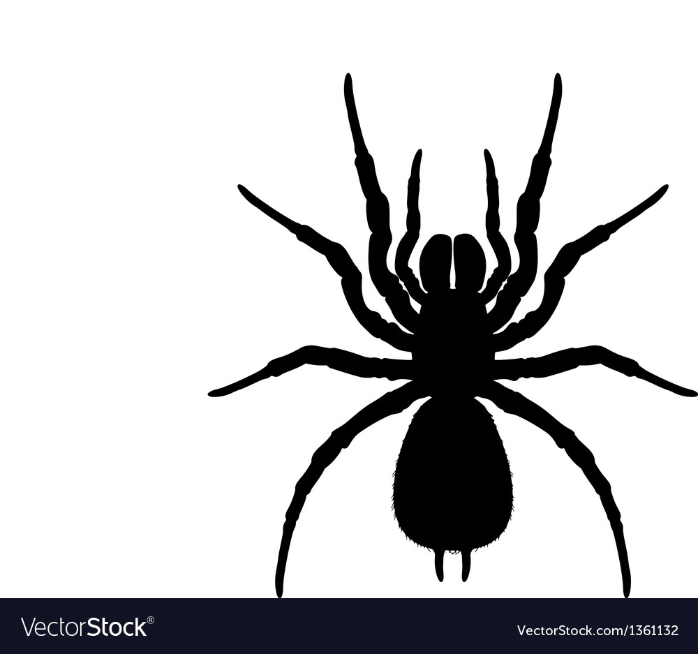 Silhouette Spider Royalty Free Vector Image Vectorstock