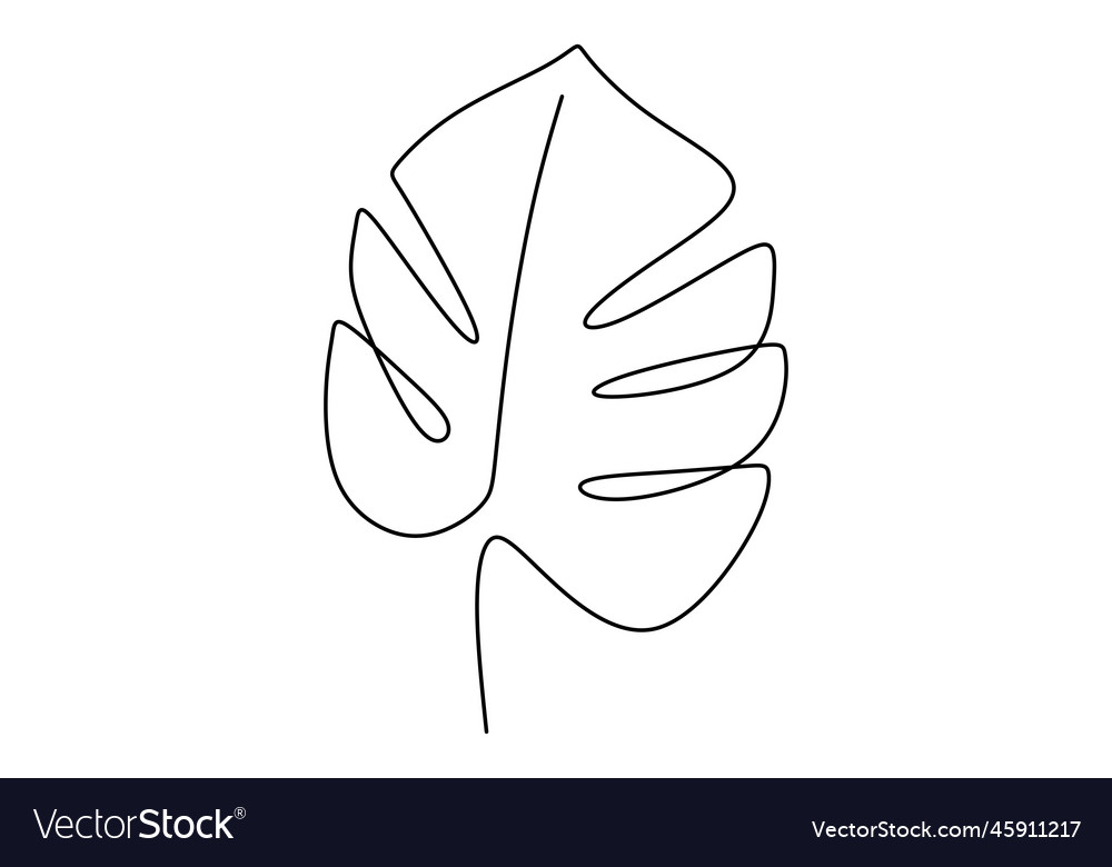 Monstera Leaf Line Art Tropical Leaves Continuous Vector Image