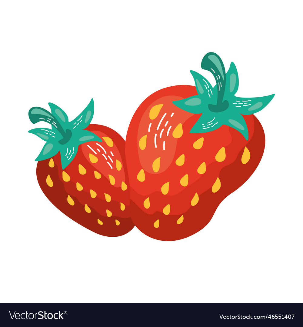 Ripe Organic Strawberry Royalty Free Vector Image