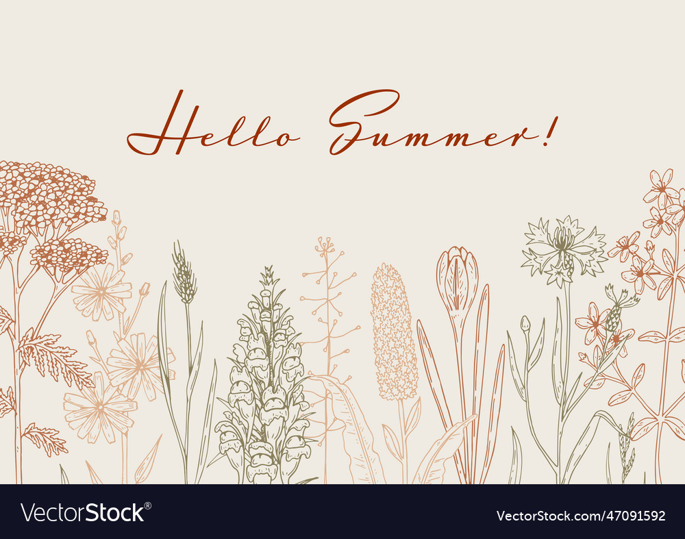 Hand Drawn Summer Horizontal Wildflowers Design Vector Image