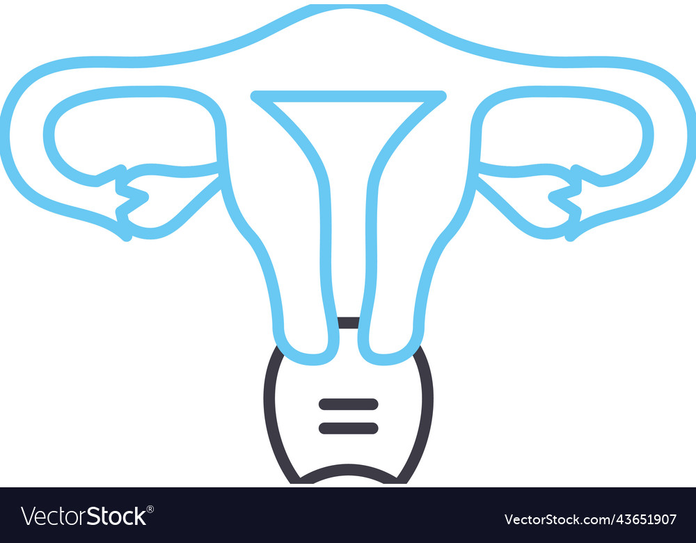 Uterus Line Icon Outline Symbol Royalty Free Vector Image