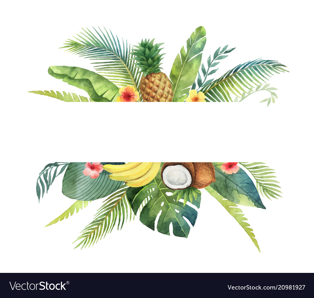 Watercolor Banner Tropical Leaves And Royalty Free Vector