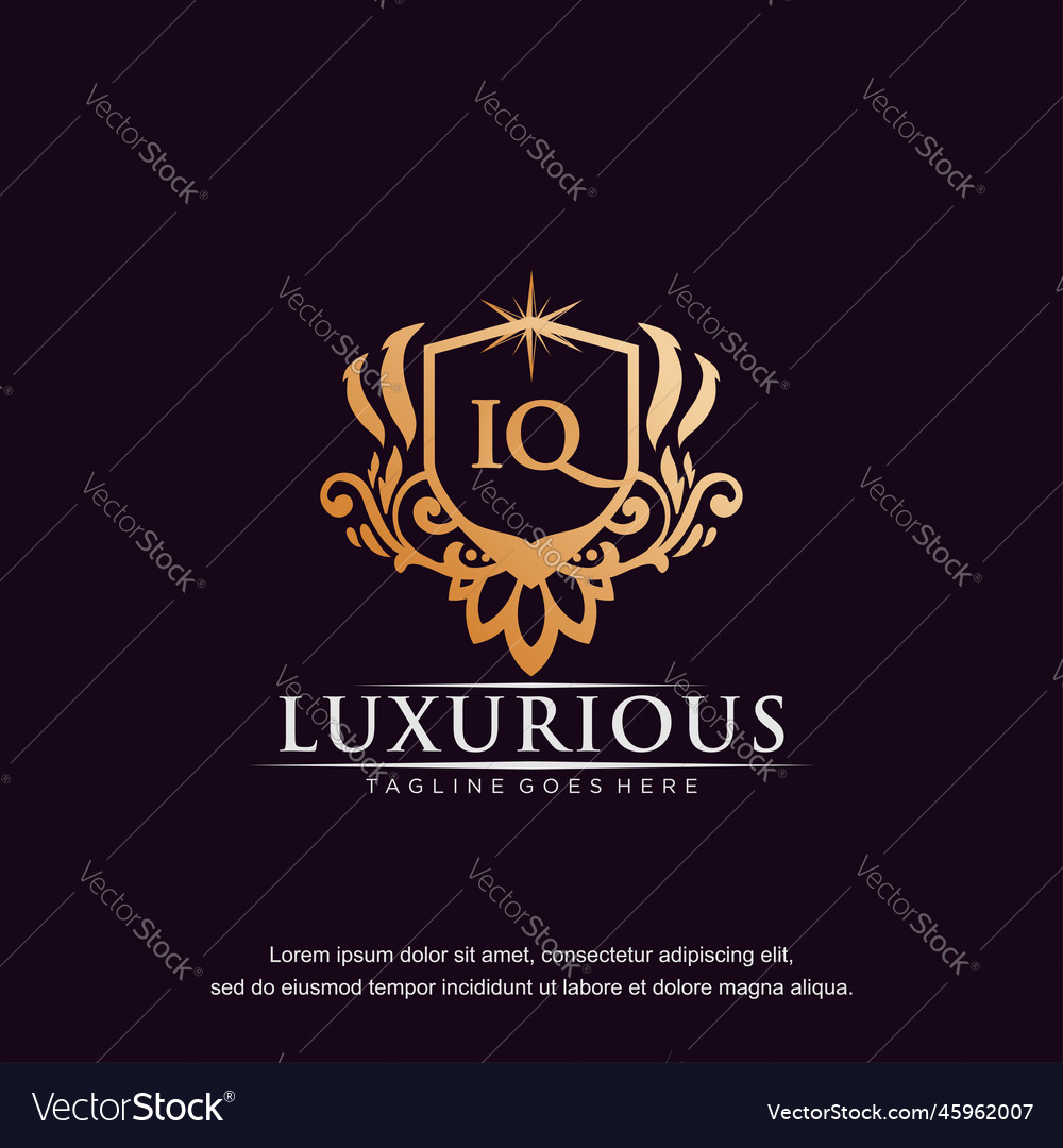 Iq Initial Letter Luxury Ornament Gold Monogram Vector Image