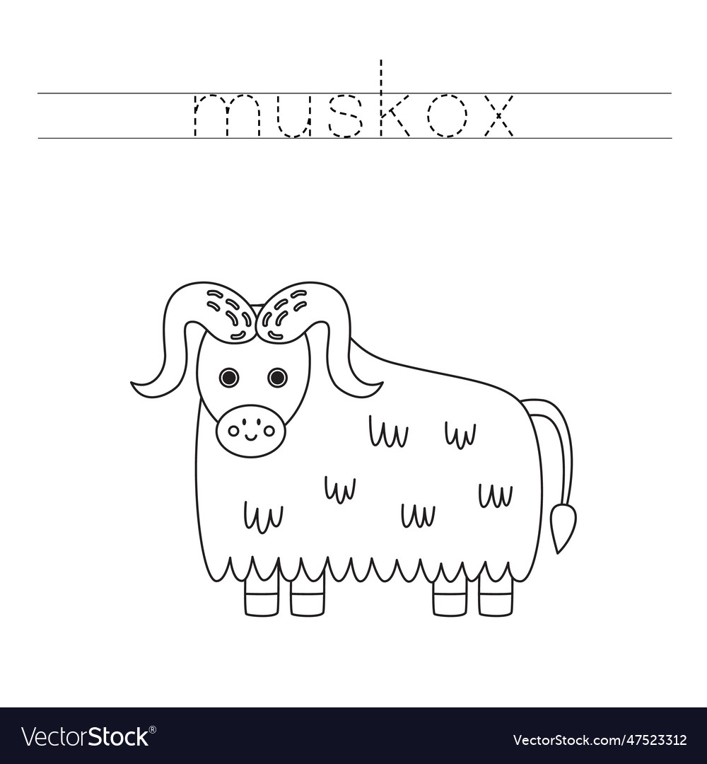 Trace The Letters And Color Cartoon Musk Ox Vector Image