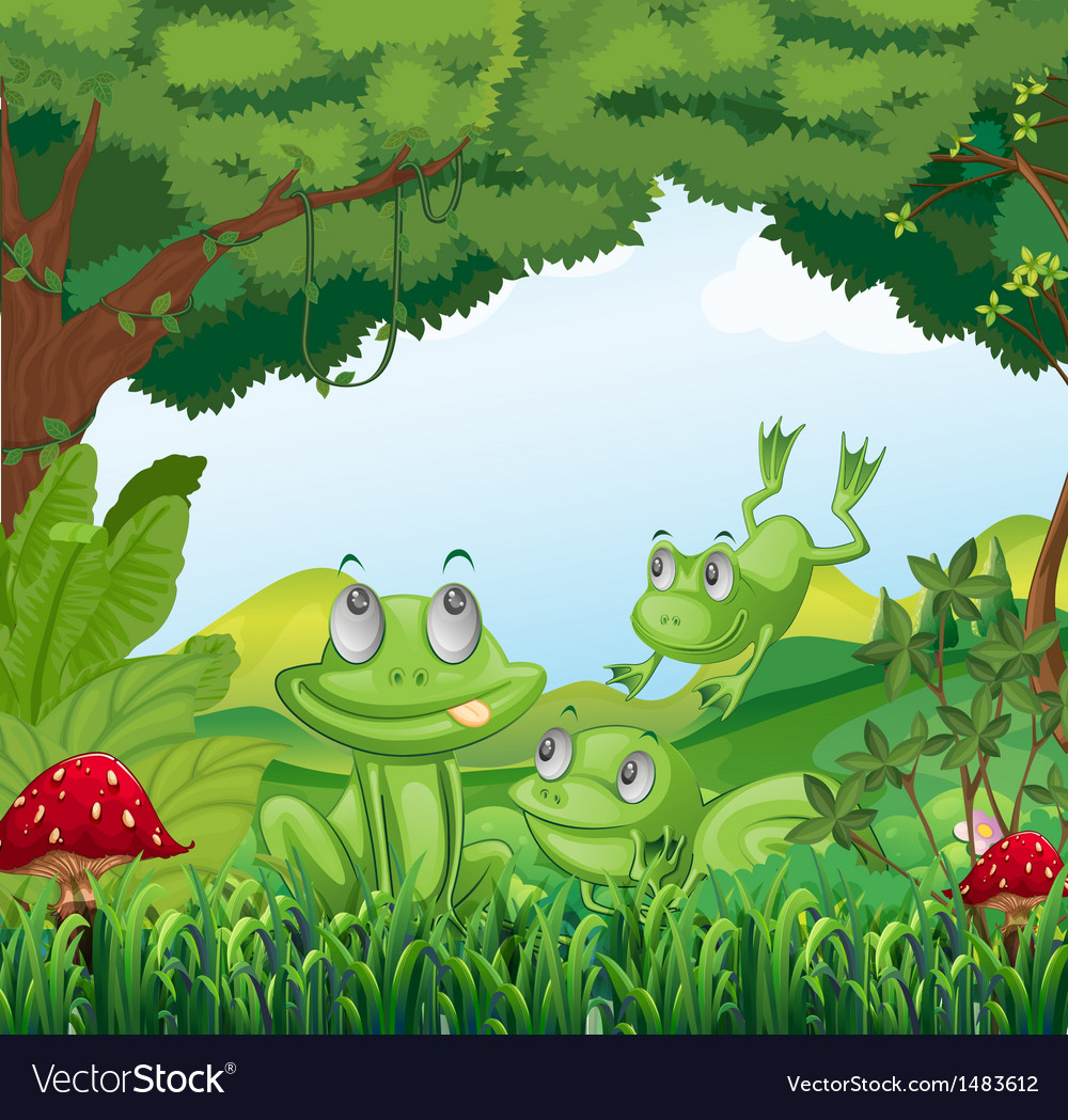 Three Frogs At Forest Royalty Free Vector Image