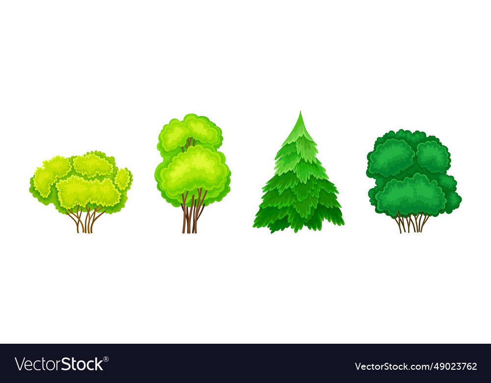 Tree With Green Crown And Trunk As Forest Element Vector Image