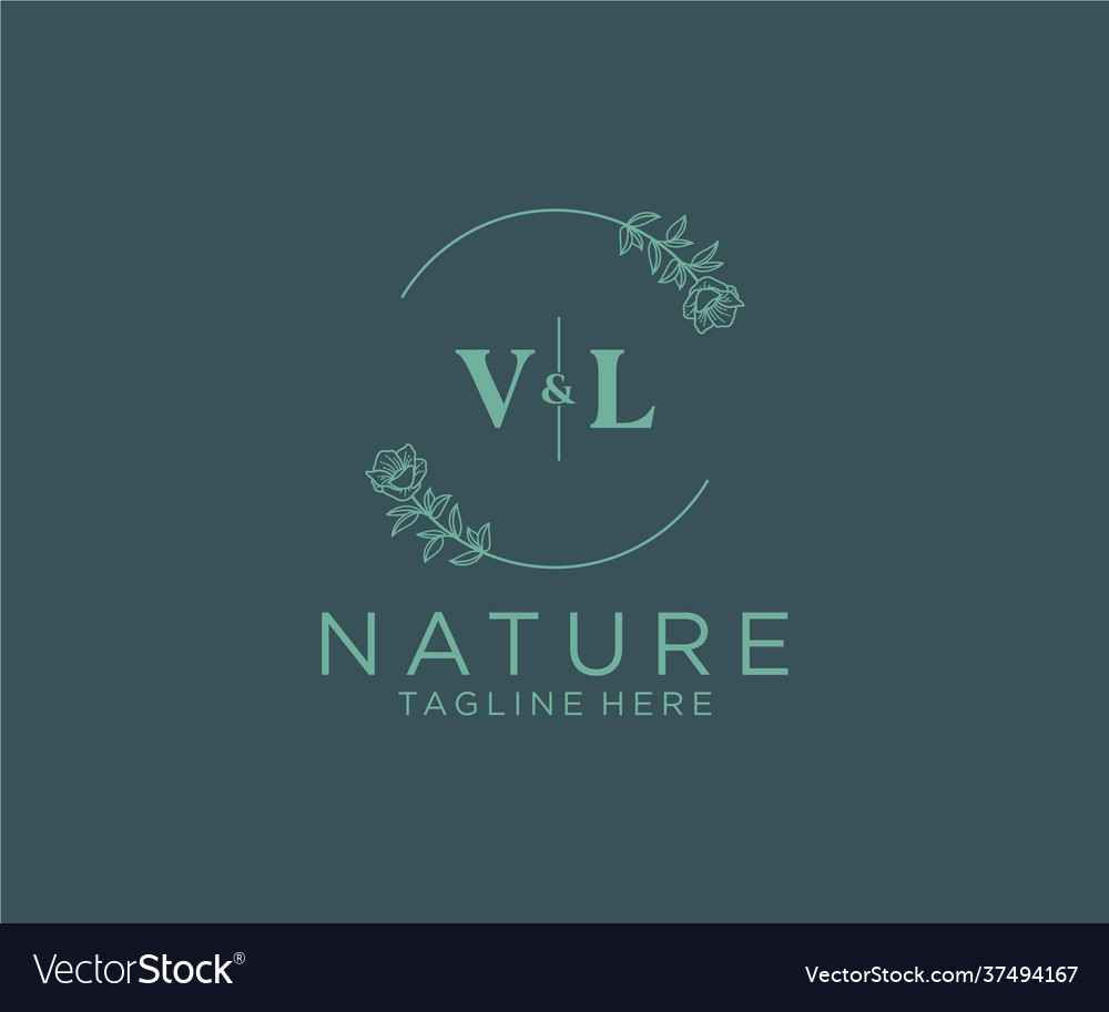 Initial Vl Letters Botanical Feminine Logo Vector Image