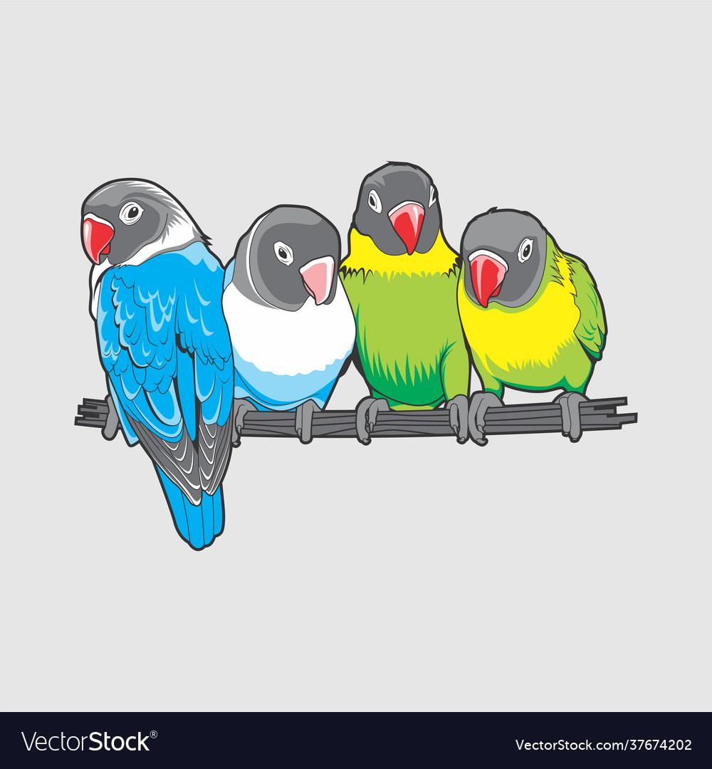 Lovebird Royalty Free Vector Image VectorStock