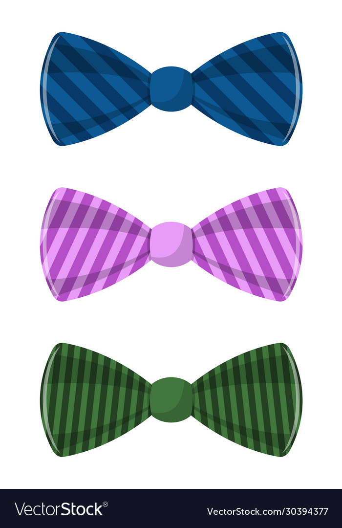 Stylish Bow Tie Royalty Free Vector Image VectorStock