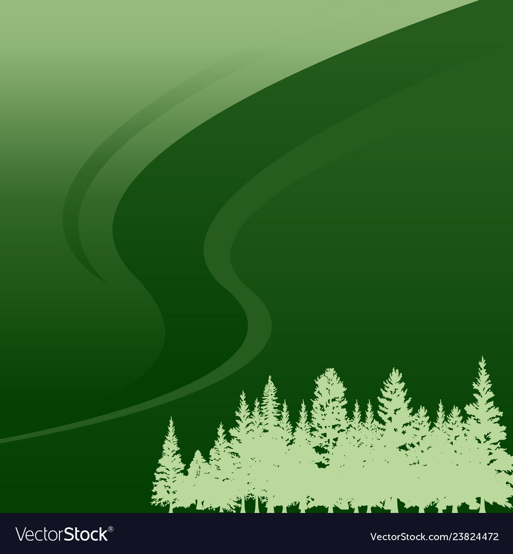 Pine Fir Forest Conifer Coniferous Tree Background