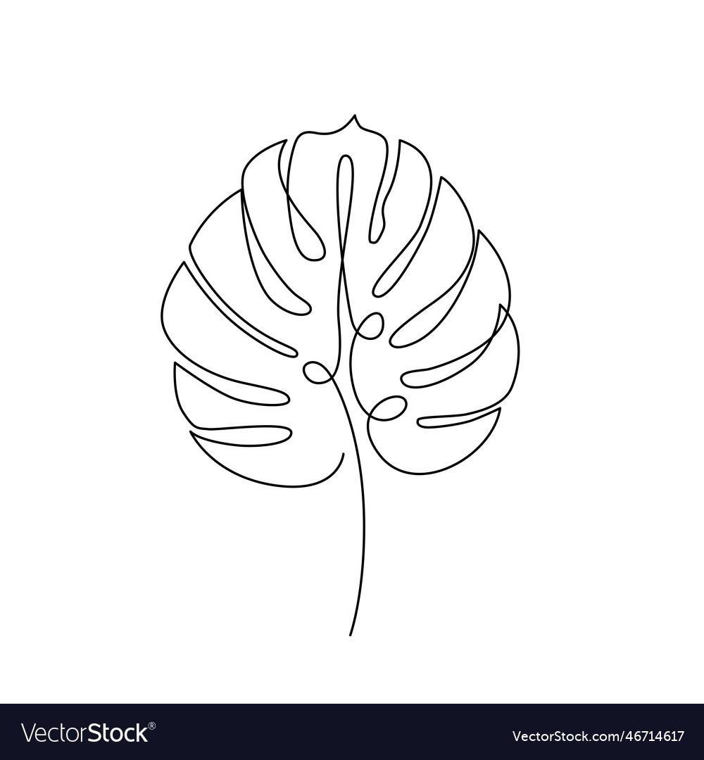 Monstera Leaf Line Art Tropical Leaf Royalty Free Vector