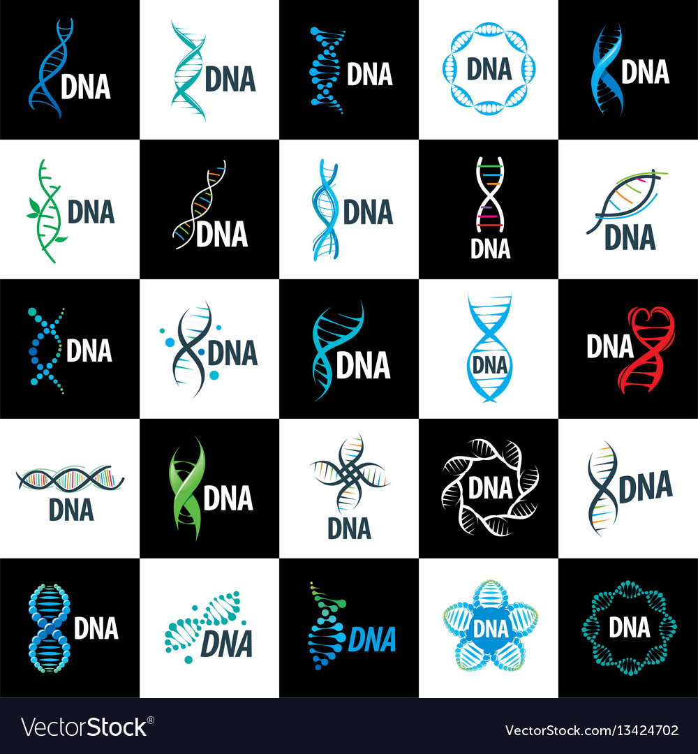 Logo Dna Royalty Free Vector Image VectorStock