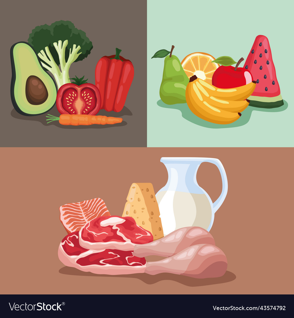 Different Healthy Food Menus Royalty Free Vector Image