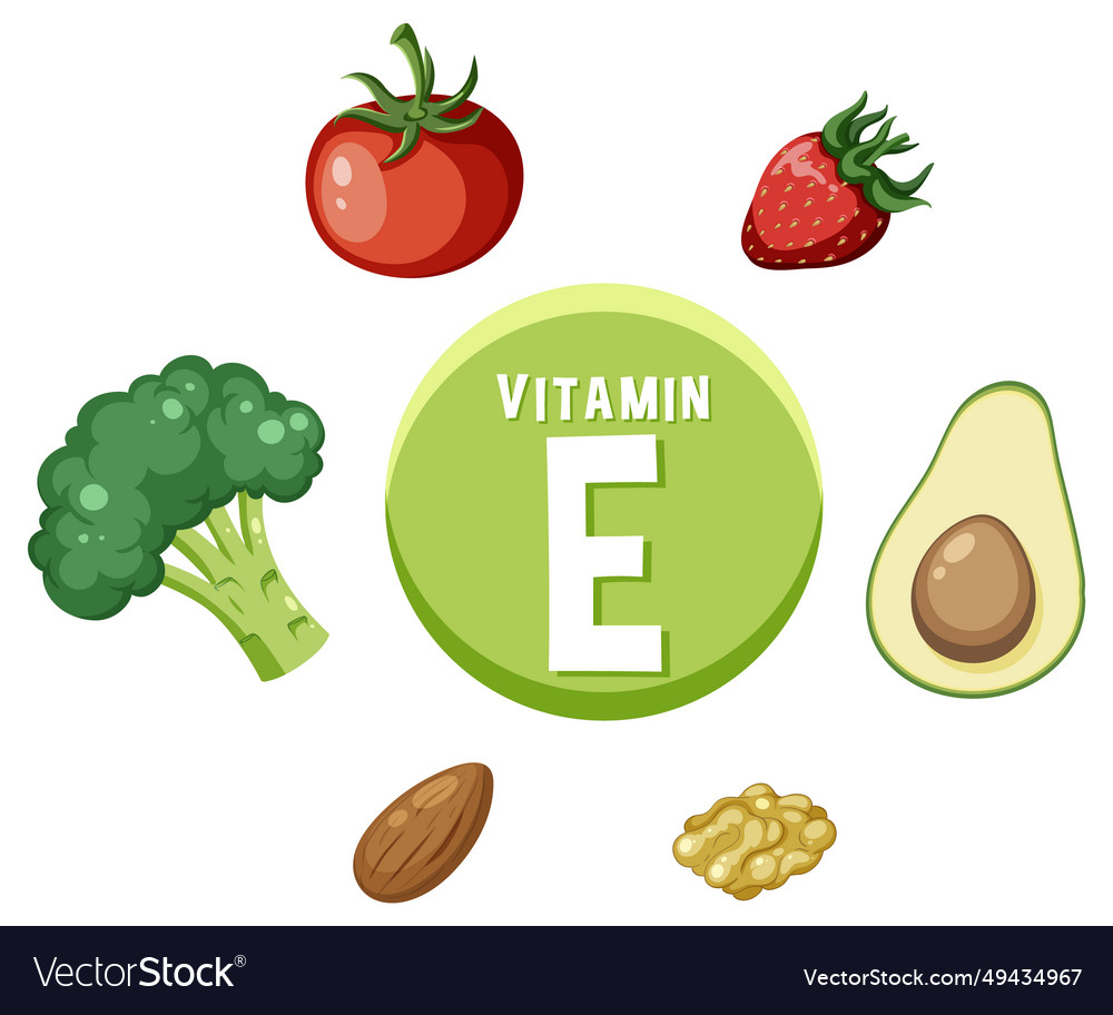 Education Poster Foods Containing Vitamin E Vector Image