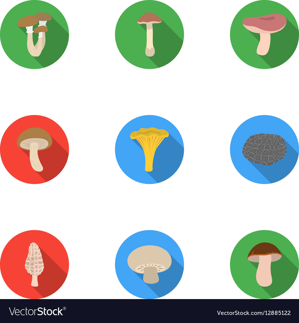 Mushroom Set Icons In Flat Style Big Collection Vector Image