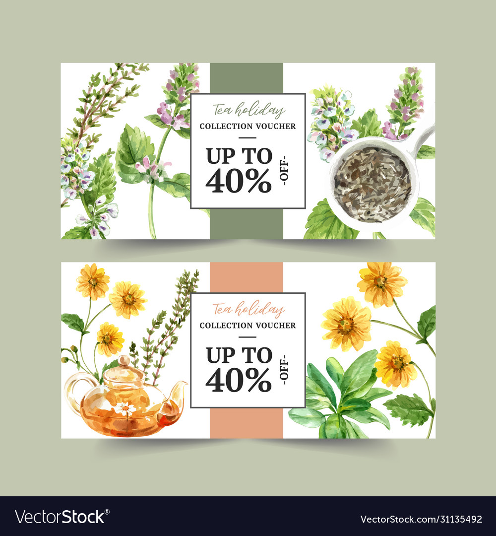 Herbal Tea Voucher Design With Thyme Peppermint Vector Image