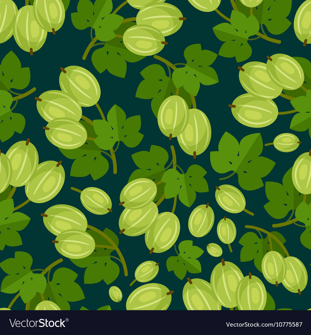 Gooseberry Berries Pattern Royalty Free Vector Image