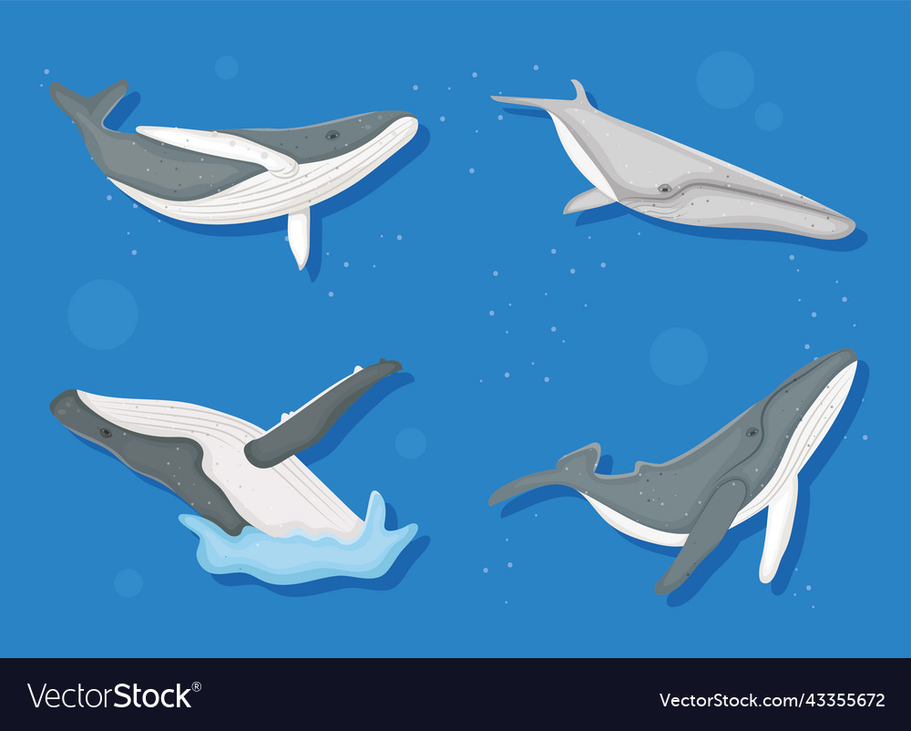 Whales Icon Set Royalty Free Vector Image VectorStock