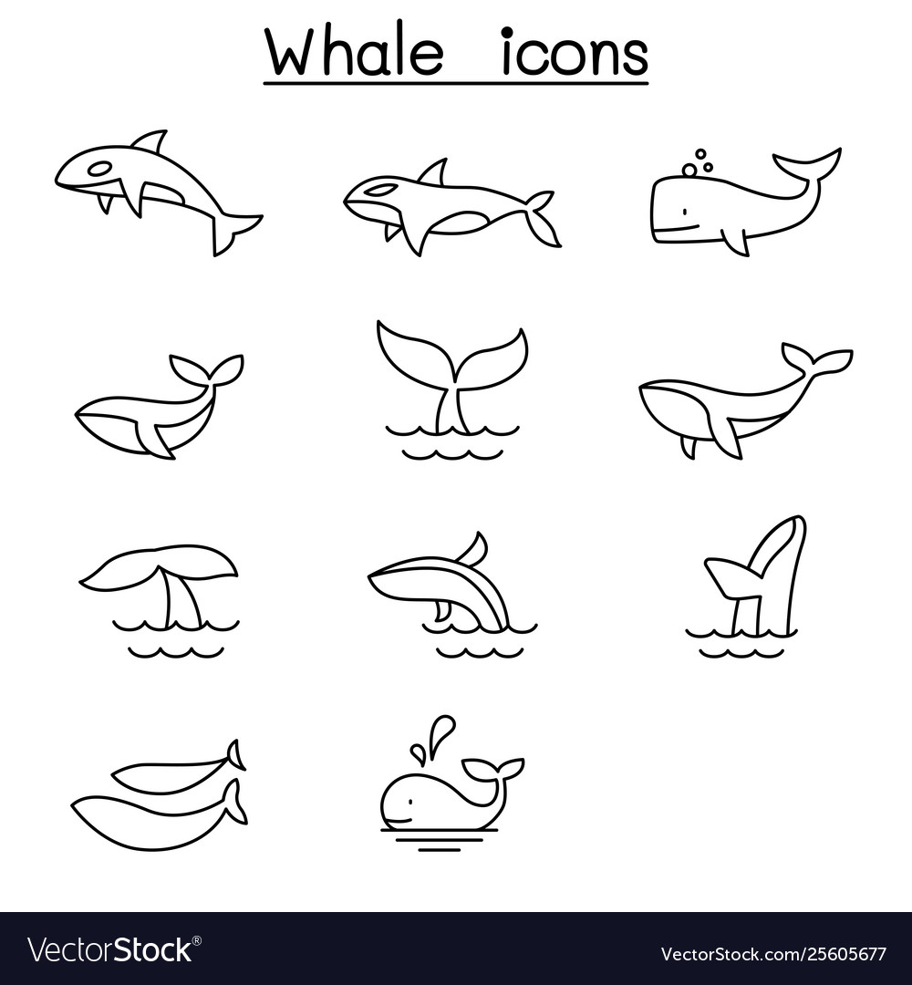 Whale Icon Set In Thin Line Style Royalty Free Vector Image