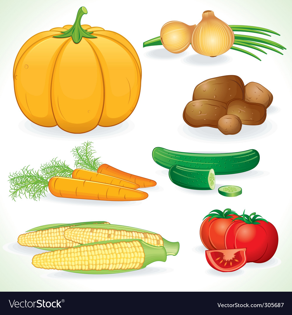 Fresh Vegetables Royalty Free Vector Image VectorStock