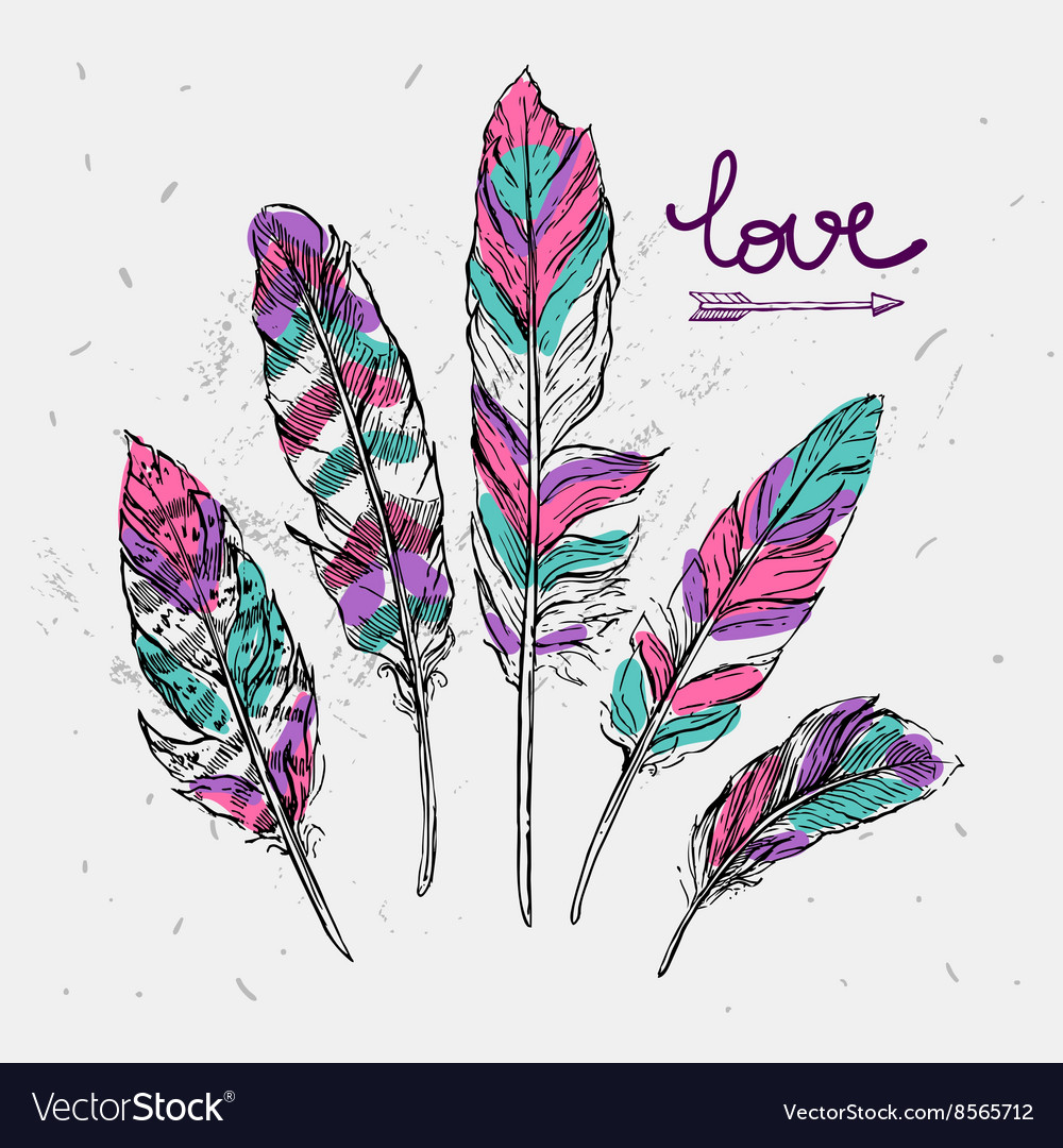 Hand Drawn Feathers Royalty Free Vector Image Vectorstock