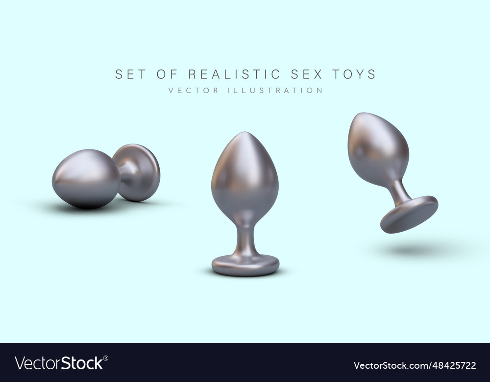 Classic Butt Plug With Limiter Silver Sex Toy Vector Image