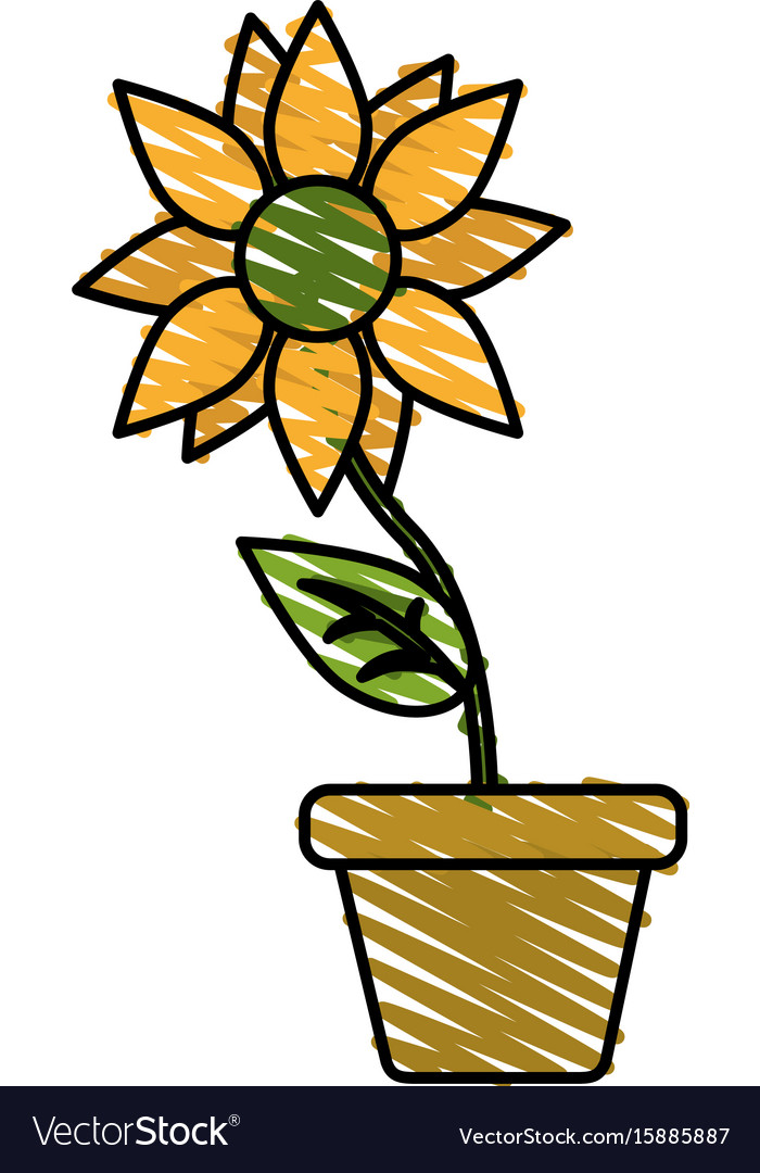 Colorful Flower In Pot Doodle Over White Vector Image