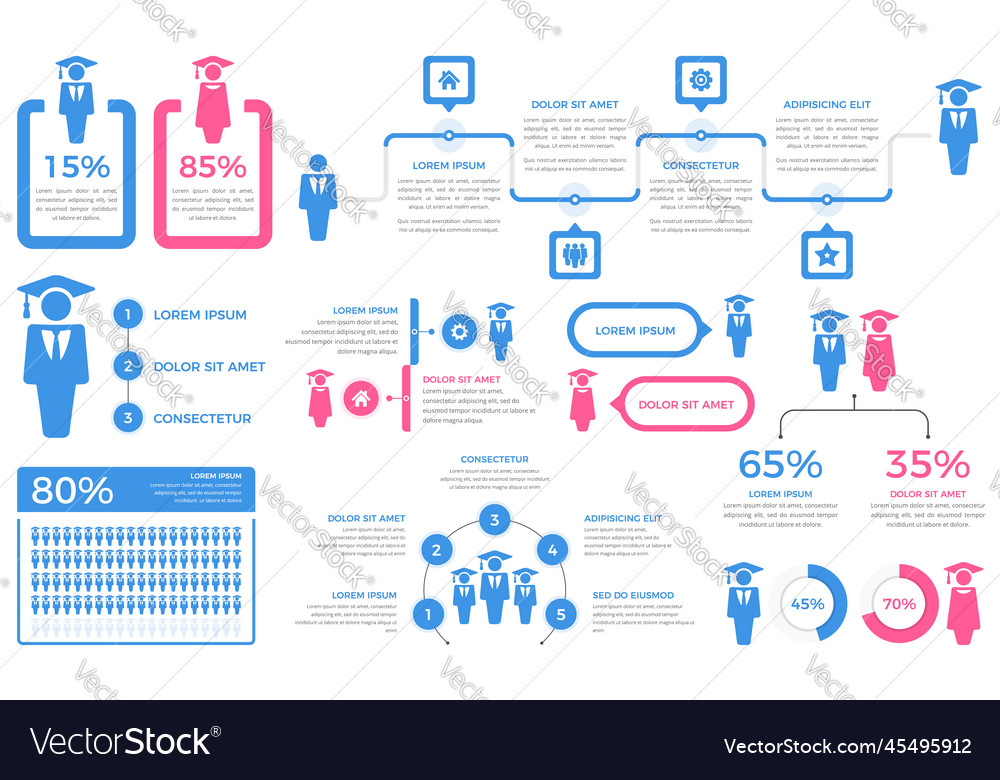 Education Infographics Royalty Free Vector Image