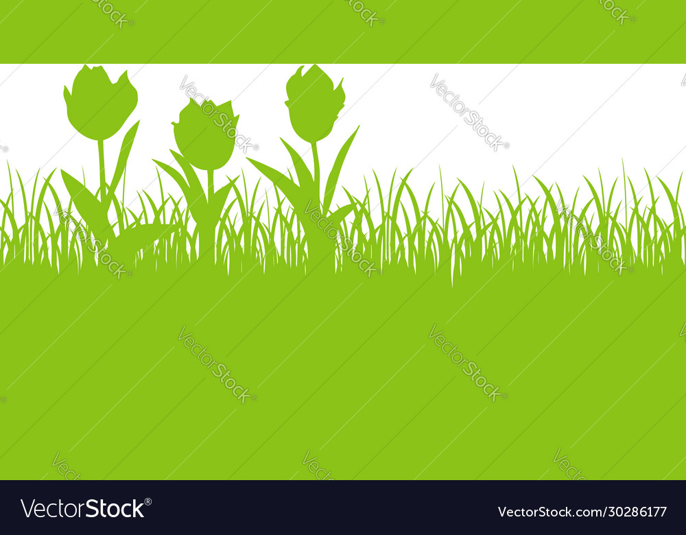 Tulips And Grass Green Silhouette Royalty Free Vector Image