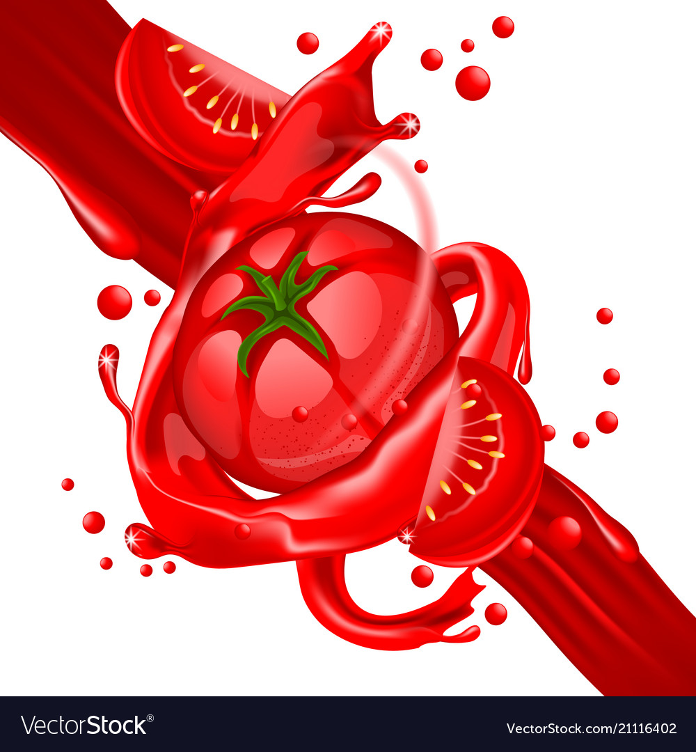 Splash Tomatoes Juice In Motion Royalty Free Vector Image