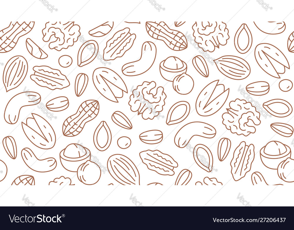 Nut Seamless Pattern With Flat Line Icons Vector Image