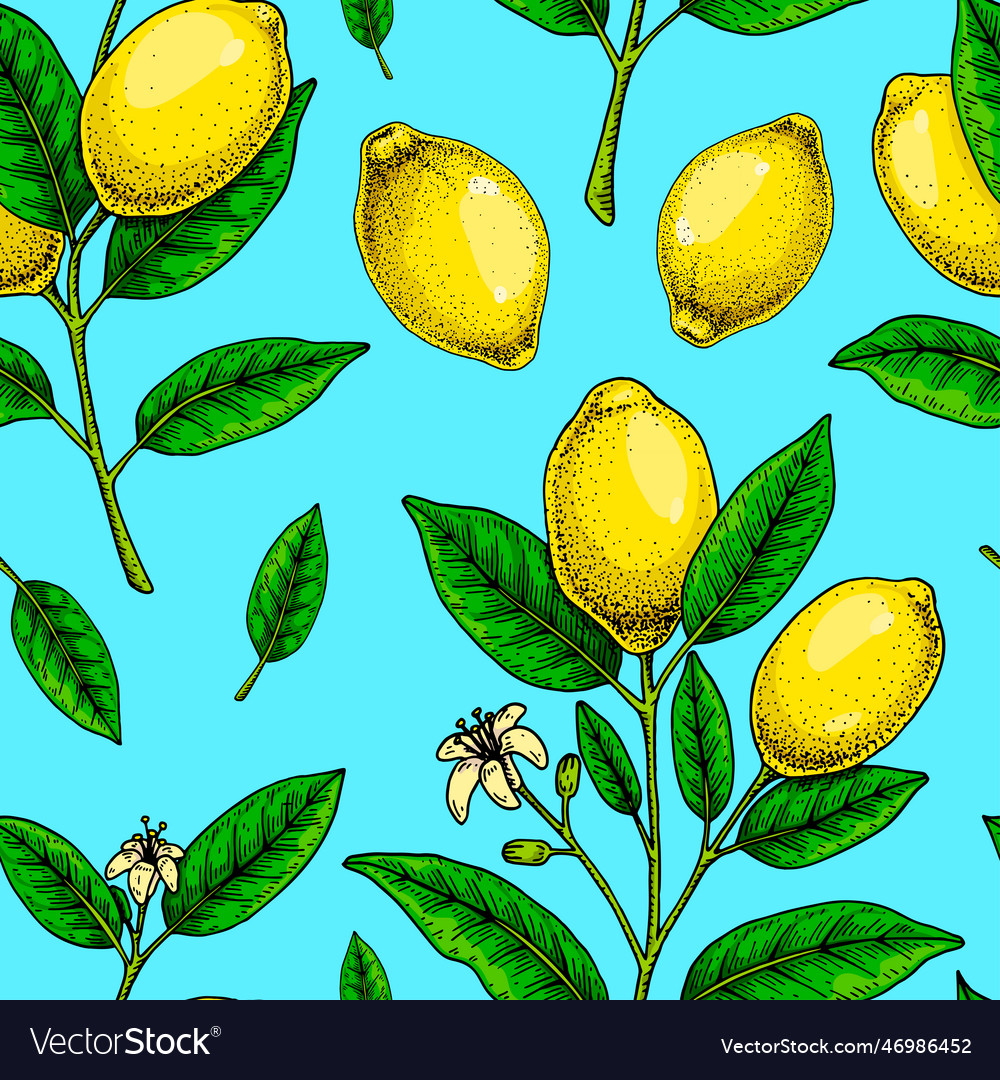 Lemon Seamless Pattern Colorful Hand Drawn Vector Image