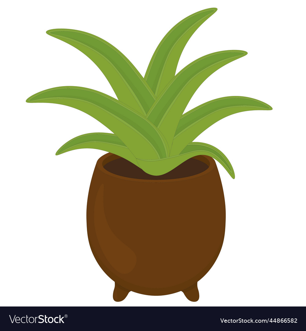 Potted Succulent Plant In Clay Pot Royalty Free Vector Image