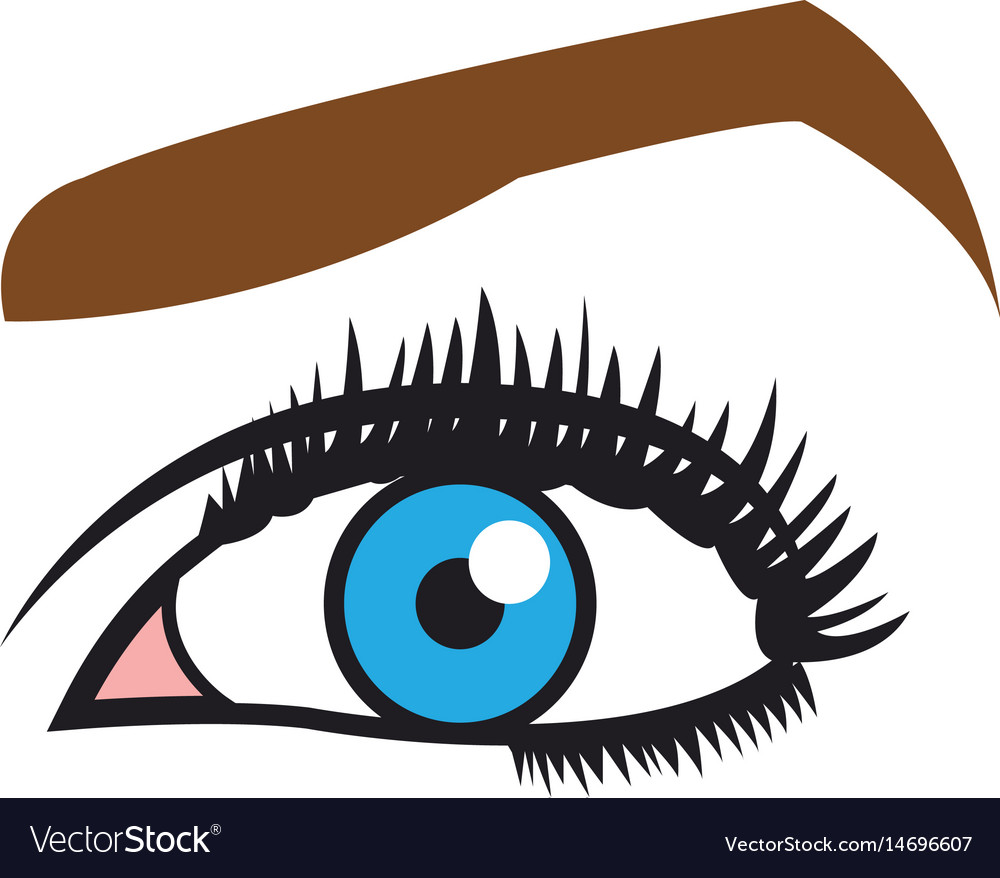 Female Blue Eyes Mascara Eyebrows Eyelashes Style Vector Image