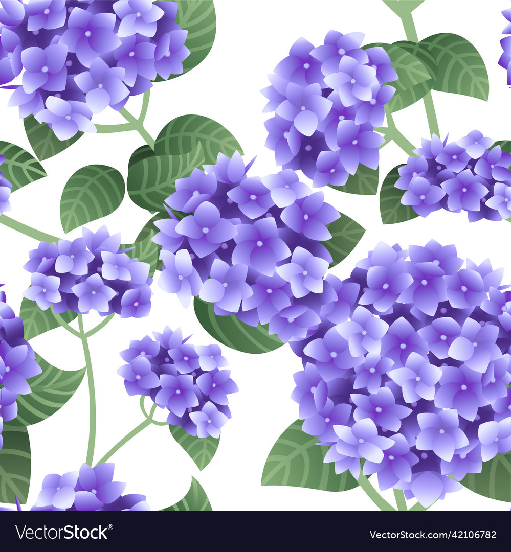 Seamless Pattern Of Purple Hydrangea Flowers Vector Image