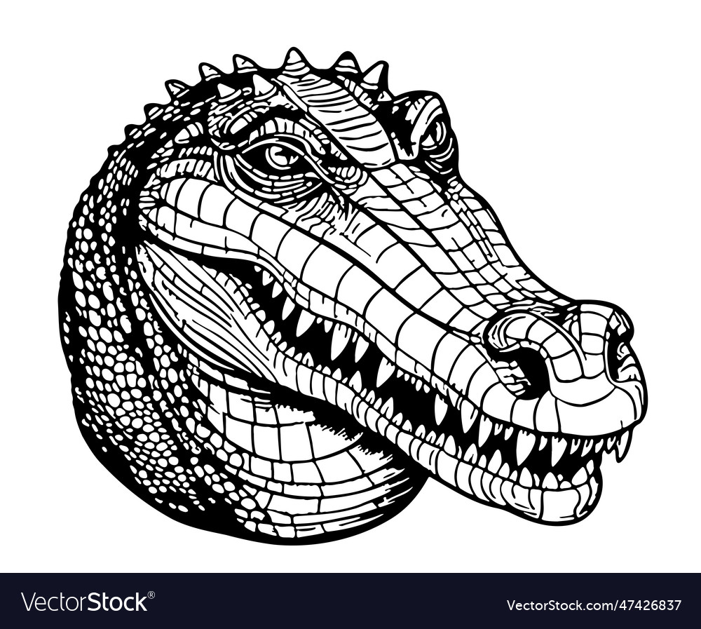 Crocodile Head Sketch Hand Drawn In Doodle Style Vector Image