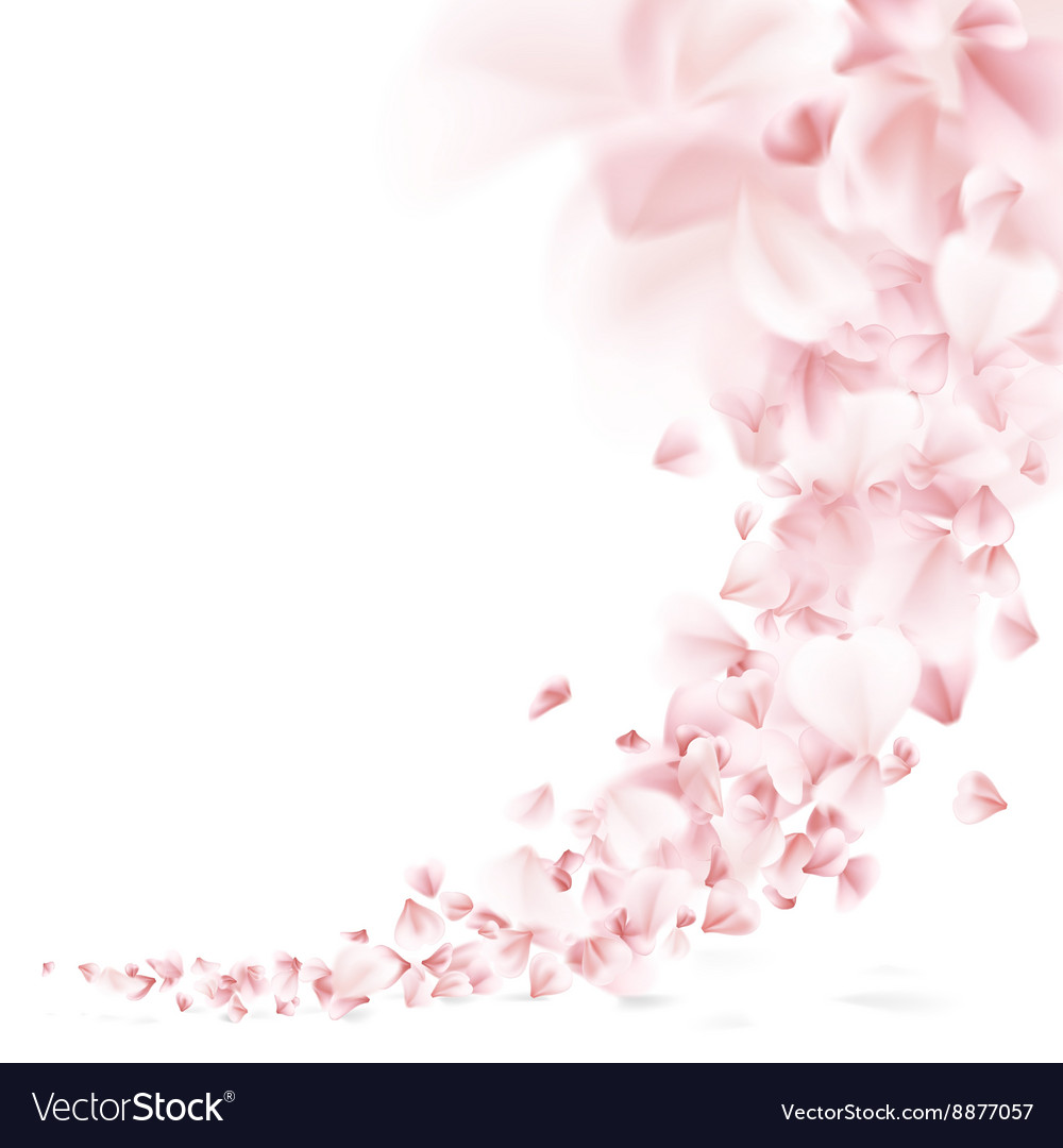 Sakura Flying Petals Eps 10 Royalty Free Vector Image