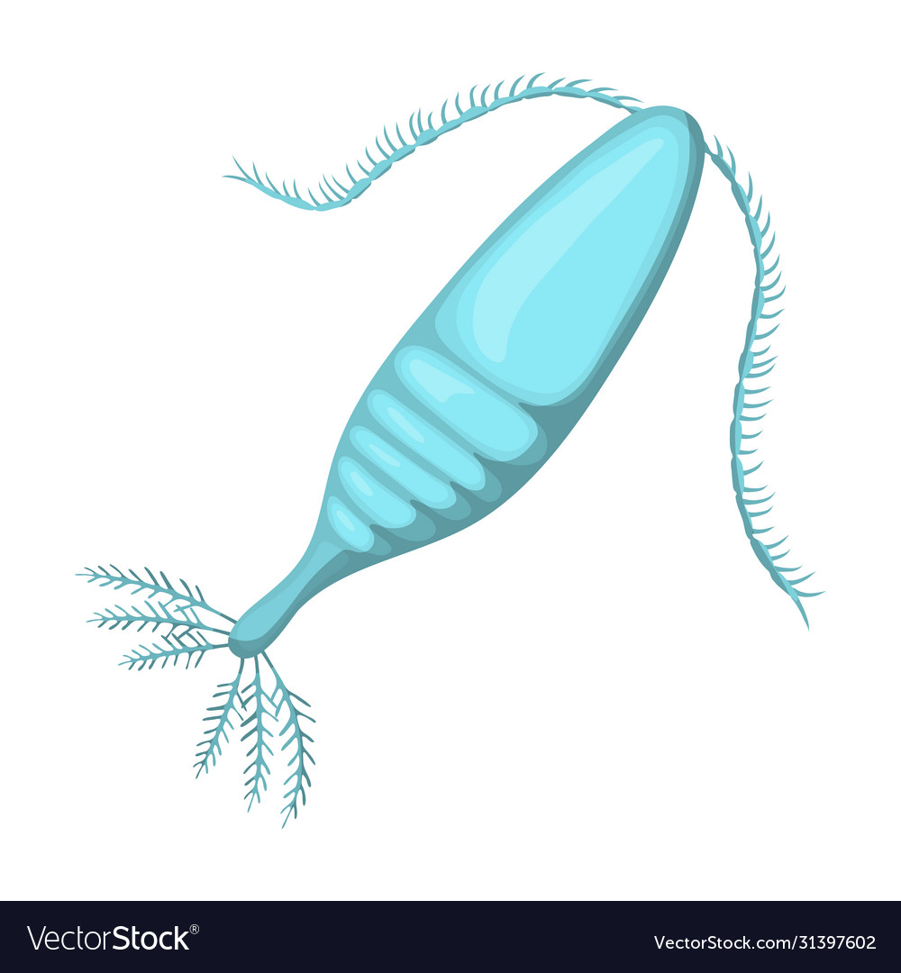 Plankton Iconcartoon Icon Isolated Royalty Free Vector Image