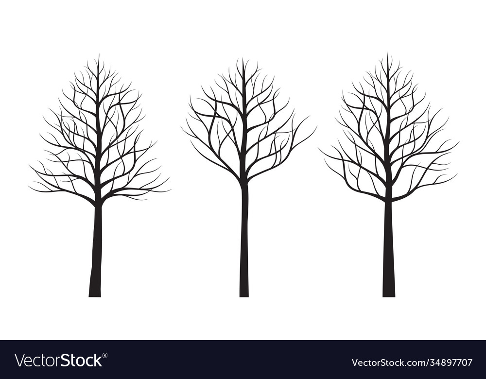 A Set Black Naked Tree Royalty Free Vector Image