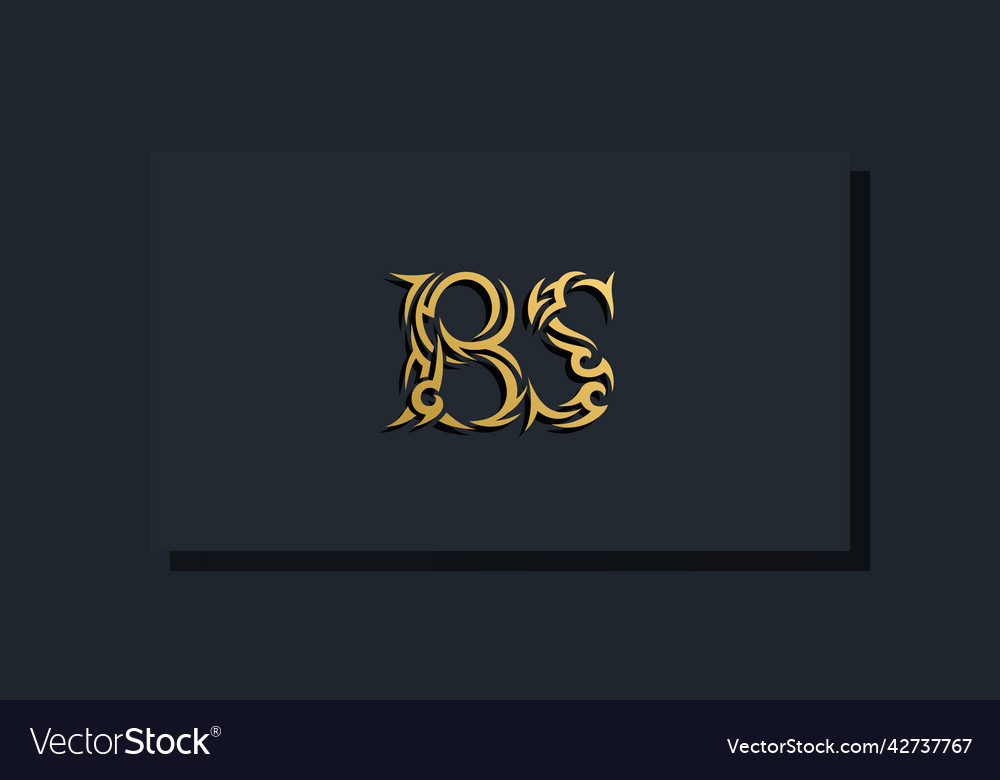 Luxury Initial Letters Bs Logo Design Royalty Free Vector