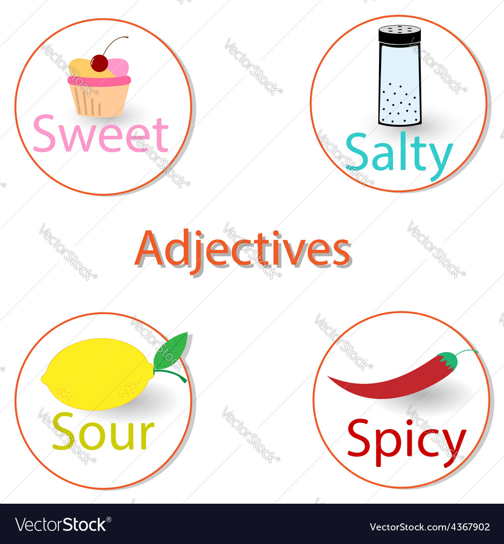 English Adjectives Basic Tastes Royalty Free Vector Image