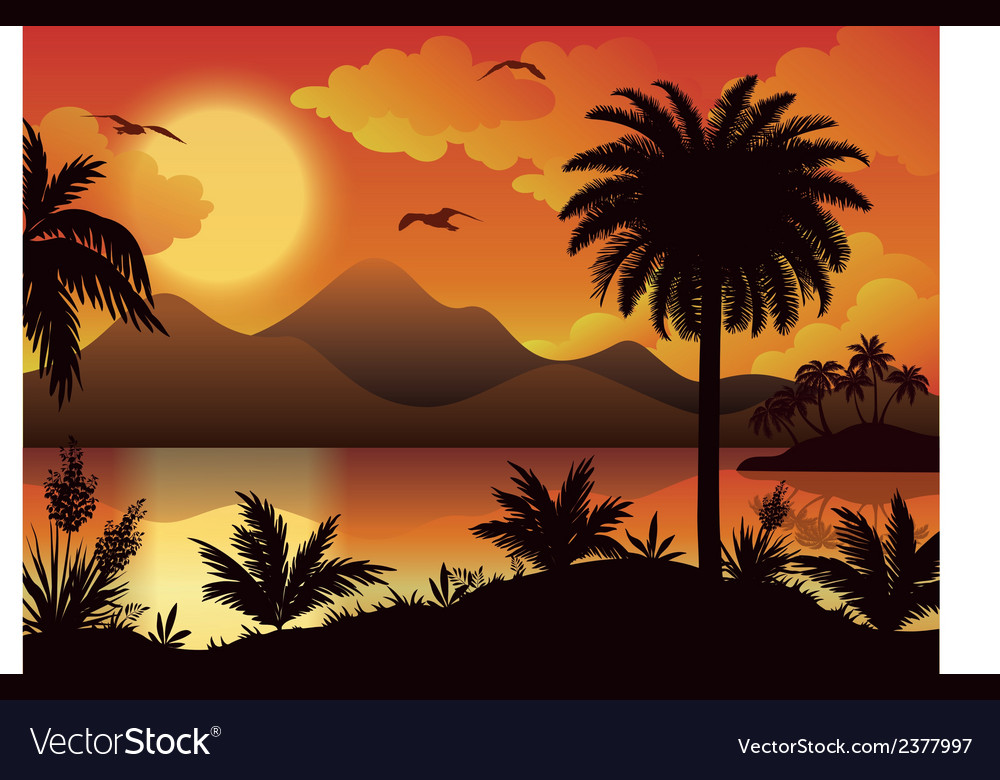 Tropical Islands Palms Flowers And Birds Vector Image