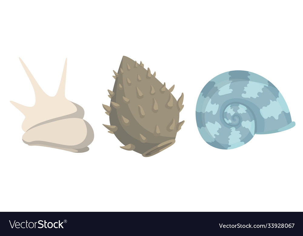 Colorful Tropical Sea Shells Underwater Icon Vector Image