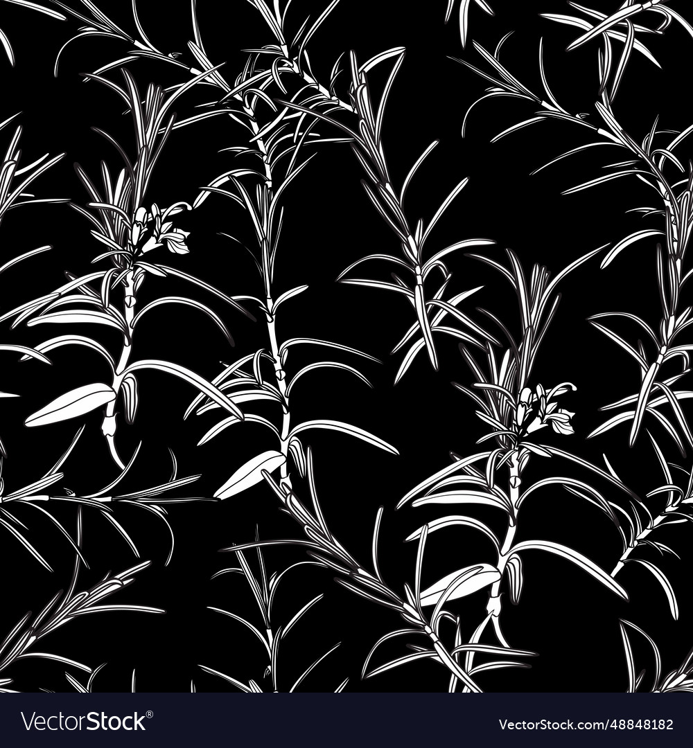 Seamless Pattern With Rosemary Line Royalty Free Vector